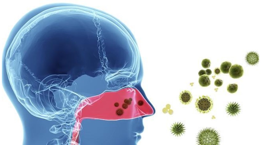 Αντιμετωπίστε τον ιό της γρίπης και το κρυολόγημα...!