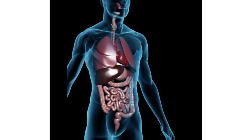 ΓΑΣΤΡΕΝΤΕΡΙΚΟ ΣΥΣΤΗΜΑ