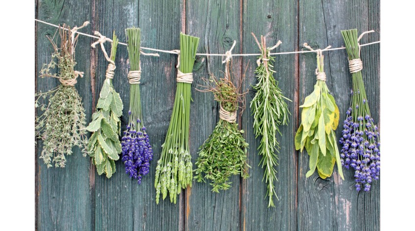 10 ΕΛΛΗΝΙΚΑ ΒΟΤΑΝΑ...Γνωρίστε τις ιδιότητές τους!