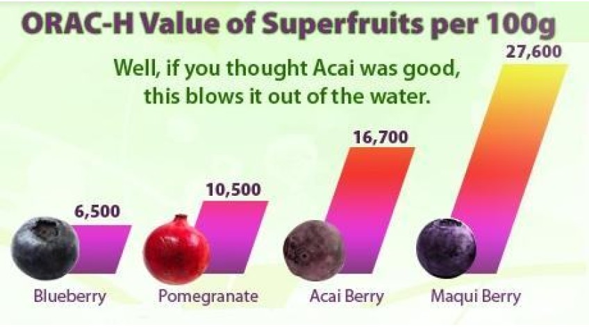 Το Maqui Berry με μια ματιά...