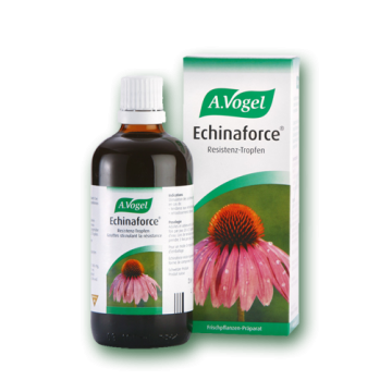 ECHINAFORCE (ΒΑΜΜΑ ΑΠΟ ΦΡΕΣΚΙΑ ΕΧΙΝΑΚΙΑ) A. VOGEL 50ml ΚΥΣΤΙΤΙΔΕΣ