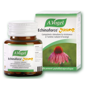 ECHINAFORCE JUNIOR (ΜΑΣΩΜΕΝΑ ΔΙΣΚΙΑ ΑΠΟ ΦΡΕΣΚΙΑ ΕΧΙΝΑΚΙΑ) A. VOGEL 120 tabs ΣΥΜΠΛΗΡΩΜΑΤΑ