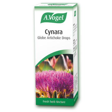CYNARA (ΒΑΜΜΑ ΑΠΟ ΦΡΕΣΚΙΑ ΑΓΚΙΝΑΡΑ) A. VOGEL 50ml ΤΡΙΓΛΥΚΕΡΙΔΙΑ