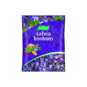 SALVIA BONBONS (ΚΑΡΑΜΕΛΕΣ ΜΕ ΦΡΕΣΚΟ ΦΑΣΚΟΜΗΛΟ) A. VOGEL 75gr ΒΗΧΑΣ SALVIA BONBONS (ΚΑΡΑΜΕΛΕΣ ΜΕ ΦΡΕΣΚΟ ΦΑΣΚΟΜΗΛΟ) A. VOGEL 75gr ΒΗΧΑΣ