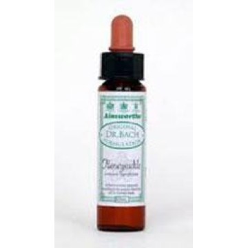 BACH HONEYSUCKLE ΑΝΘΟΪΑΜΑ 10ml