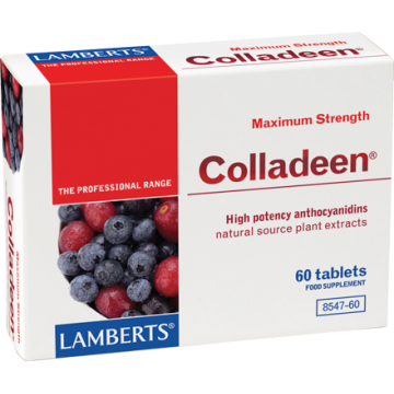 COLLADEEN DOUBLE STRENGTH (ΣΥΜΒΑΛΛΕΙ ΣΤΗΝ ΑΠΟΚΑΤΑΣΤΑΣΗ ΤΗΣ ΔΟΜΗΣ ΤΟΥ ΚΟΛΛΑΓΟΝΟΥ) LAMBERTS 160mg 60tabs ΑΡΘΡΙΤΙΔΑ - ΟΣΤΕΟΑΡΘΡΙΤΙΔΑ COLLADEEN DOUBLE STRENGTH (ΣΥΜΒΑΛΛΕΙ ΣΤΗΝ ΑΠΟΚΑΤΑΣΤΑΣΗ ΤΗΣ ΔΟΜΗΣ ΤΟΥ ΚΟΛΛΑΓΟΝΟΥ) LAMBERTS 160mg 60tabs ΑΡΘΡΙΤΙΔΑ - ΟΣΤΕΟΑΡΘΡΙΤΙΔΑ