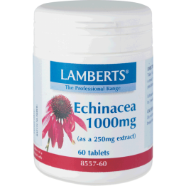 ECHINACEA (ΤΙΤΛΟΔΟΤΗΜΕΝΟ ΕΚΧΥΛΙΣΜΑ ΕΧΙΝΑΚΕΙΑ) LAMBERTS 1000mg 60tabs ΒΕΛΤΙΩΣΗ ΑΜΥΝΑΣ