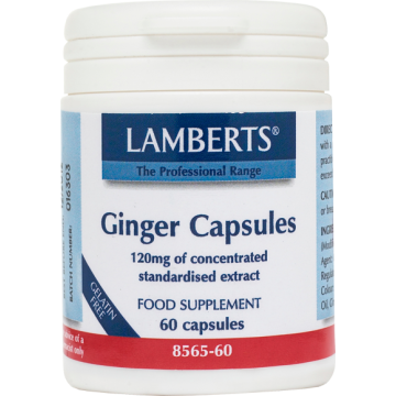GINGER (ΤΙΤΛΟΔΟΤΗΜΕΝΟ ΚΑΙ ΣΥΜΠΥΚΝΩΜΕΝΟ ΕΚΧΥΛΙΣΜΑ ΠΙΠΕΡΟΡΙΖΑΣ) LAMBERTS 120mg 60caps ΦΥΣΙΚΑ ΑΝΤΙΦΛΕΓΜΟΝΩΔΗ