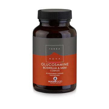 TERRA NOVA GLUCOSAMINE BOSWELLIA & MSM (JOINT SUPPORT) COMPLEX 100caps  ΑΡΘΡΙΤΙΔΑ - ΟΣΤΕΟΑΡΘΡΙΤΙΔΑ