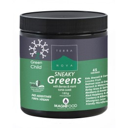 GREEN CHILD SNEAKY GREENS SHAKE (ΣΥΜΠΛΗΡΩΜΑ ΔΙΑΤΡΟΦΗΣ ΑΠΟ ΟΛΟΚΛΗΡΑ ΩΜΑ ΛΑΧΑΝΙΚΑ ΚΑΙ ΦΡΟΥΤΑ ΓΙΑ ΠΑΙΔΙΑ) TERRA NOVA 180gr TERRA NOVA