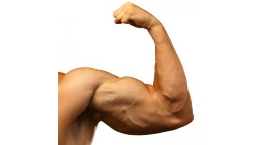 ΥΨΗΛΗ ΚΡΕΑΤΙΝΙΝΗ ΚΑΙ ΔΙΑΤΡΟΦΗ