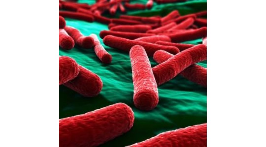 ΟΥΡΟΛΟΙΜΩΞΗ ΚΑΙ ΔΙΑΤΡΟΦΗ