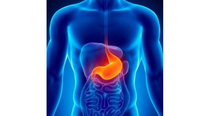 ΓΑΣΤΡΟΟΙΣΟΦΑΓΙΚΗ ΠΑΛΙΝΔΡΟΜΗΣΗ