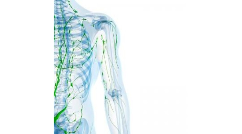 ΛΕΜΦΙΚΟ ΣΥΣΤΗΜΑ