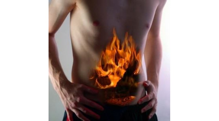 ΓΑΣΤΡΙΤΙΔΑ - ΕΛΚΟΣ