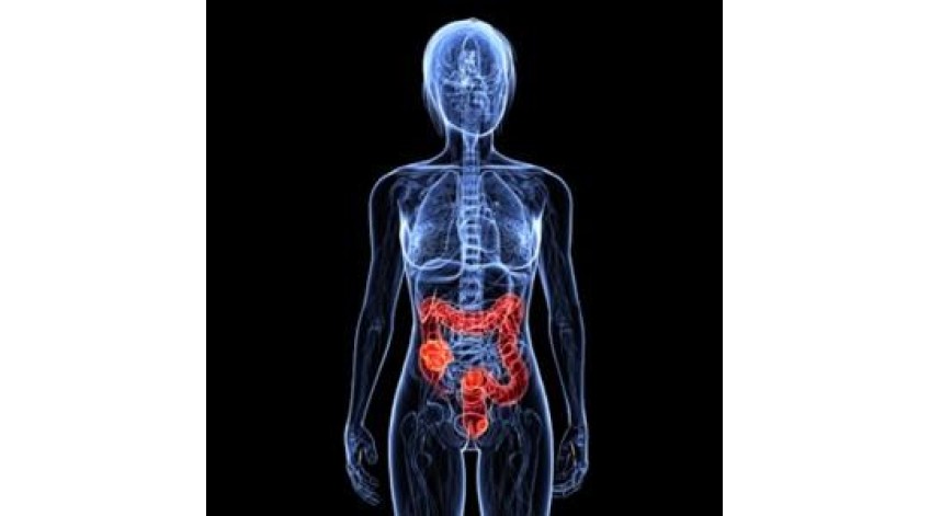 ΔΙΑΤΡΟΦΗ ΕΥΕΡΕΘΙΣΤΟ ΕΝΤΕΡΟ (ΣΠΑΣΤΙΚΗ ΚΟΛΙΤΙΔΑ)