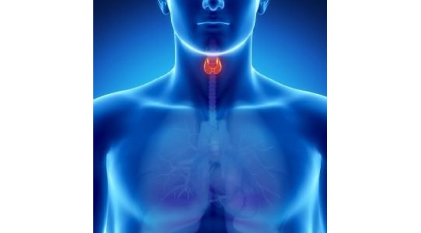 ΒΑΣΙΚΕΣ ΟΔΗΓΙΕΣ ΔΙΑΤΡΟΦΗΣ ΣΤΙΣ ΠΑΘΗΣΕΙΣ ΤΟΥ ΘΥΡΕΟΕΙΔΗ