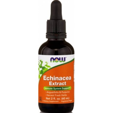 NOW FOODS ECHINACEA EXTRACT LIQUID 60ml NOW FOODS ECHINACEA EXTRACT LIQUID 60ml