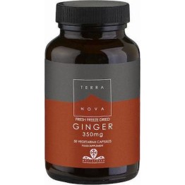 TERRA NOVA GINGER 350mg 50caps